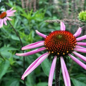 Meet your Posher, Kathryn